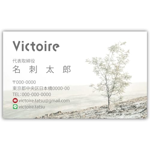 ���h�쐬 ���h��� �i�� 100�� �Ж� �t���J���[ �P�[�X�t No.1888