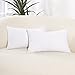 Deconovo Lot de 2 Housse de Coussin Blanc 30x50CM