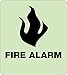 NMC GADA107BK National Marker Glow Fire Alarm Braille Sign