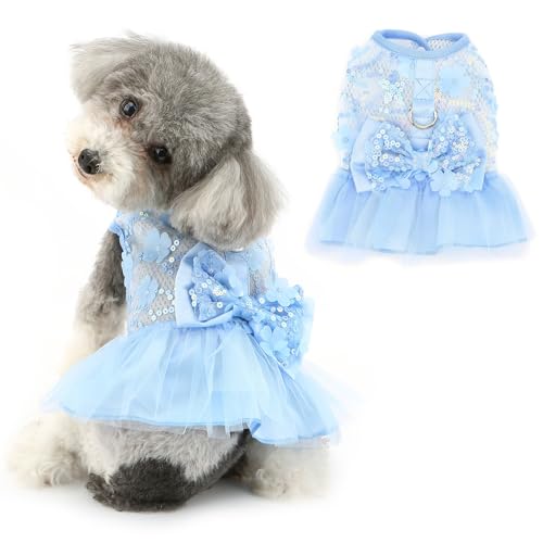 RANPHY   t ^ n[lXs[X Pl`[XJ[g hX DOt  ̎qm Ȃ[X ʋChbOEFA  `  ybg q L U o LOBe,u[,S