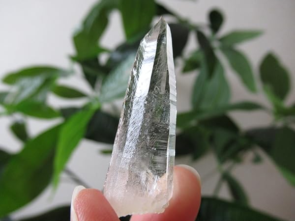 SALE✨セルフヒールド　大きめレムリアンシードクリスタル　コロンビア産 SALE✨セルフヒールド 大きめレムリアンシードクリスタル