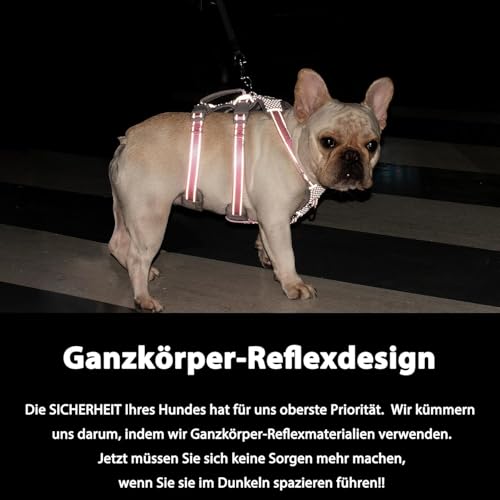 Huntboo Sicherheitsgeschirr Hund Ausbruchsicher, Panikgeschirr für Hunde, Reflektierendes Geschirr mit Gepolstertem Griff, Verstellbare Weste für Kleine Hunde, die Spazieren Gehen (Meeresblau,S)