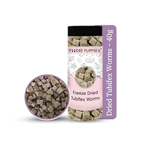 Foodie Puppies Freeze Dried Tubifex Worms – (40g, Pack of 1) Food for All Types of Tropical, Marine Fishes and Turtles