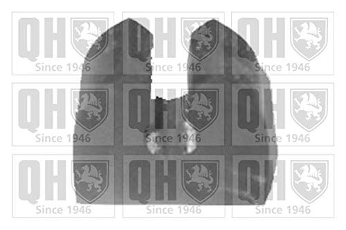 Quinton Hazell ems8100 Brazo de suspensión Bush