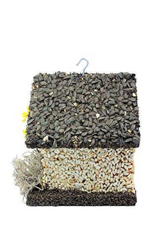 Edible Birdhouses | Reseedable Wooden Birdhouse Covered W/Birdseed | Squirrel Proof Bird Feeder | Made In The Usa (Sd) #TOP1