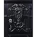 MotiveTech Mailboxs Mailboxes Residential The Court Large-Capacity Letter Box, Garden Floor Mailbox, Outdoor Rainproof Postbox