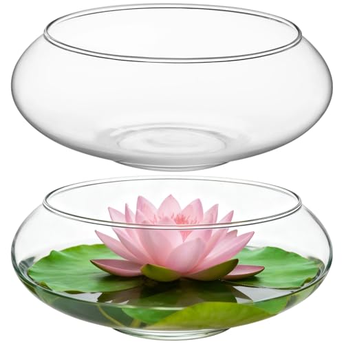 NIMBLOOM Glass Vase Bowls
