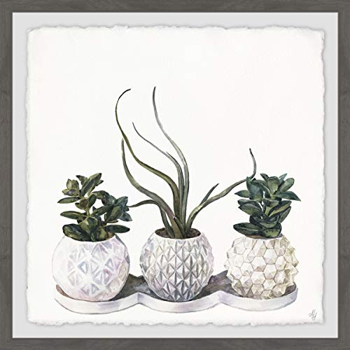 Marmont Hill - Handmade Classy Succulents Framed Print 12 x 12