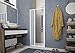 Mampara de ducha plegable con fuelle, BXF120001