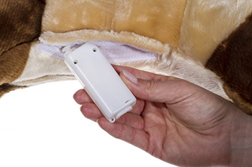 WENDY 728.578 Dixie-Cavallo Coperta