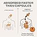Vimergy USDA Organic Total Immune Blend* Liquid Supplement, 57 Servings Fast-Absorbing Immune Support – All-Season, Zinc, Thyme and Mullein Drops Non-GMO, Vegan, Immunity Support for Adults (115 mL)