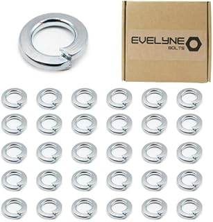 M8 (8mm) Spring Washer Set - Steel - Evelyne (Pack of 30)