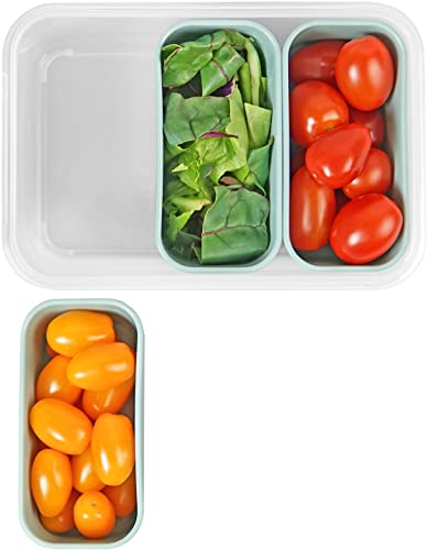 Carrotez Food Storage Container, 3 Compartment Food Containers, Portion Control Container, Meal Prep Container, Snack Container, Microwave Safe, Bpa Free, Airtight Lids, 4.64 Cup (1100Ml) #TOP6