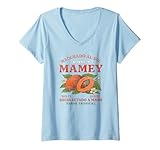 Retro Vintage Distressed Tropical Fruit Design