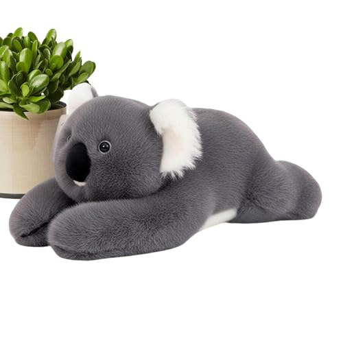 lpdݕt,킢vbV̓̂ | ߂ K  - l q ۈ牀  xbh \t@ a NX}X s ItBX 