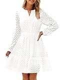 ZESICA Women's 2025 Long Sleeve Mini Dress Fall V Neck Hollow Out Eyelet Embroidery Ruffle A Line Swing Short Dresses,White,Small