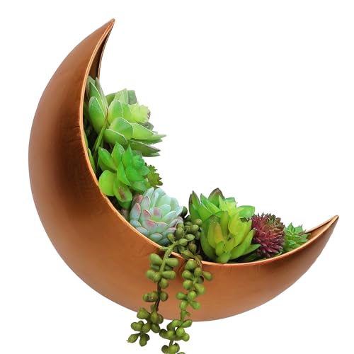 Wall Planter - Window Planter - Hanging Moon Planter - Boho Hanging Planters for Indoor Plants, Succulents, Air Plant, Cactus, Faux, Artificial Plants -Witchy Gifts for Women, Birthdays,Plant Lovers