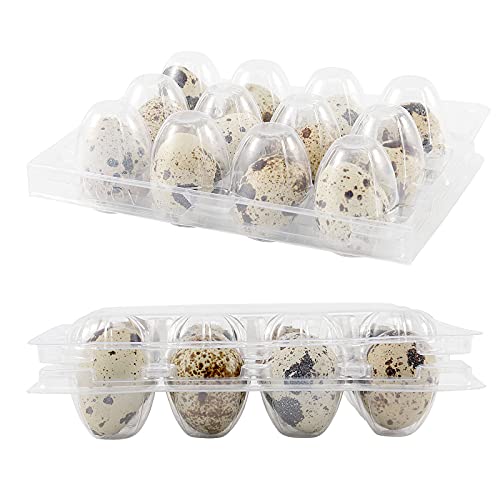 JOIKIT 150 PCS 12 Cavity Clear PVC Quail Egg Cartons, Stackable Egg