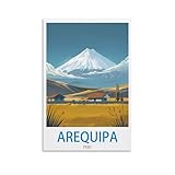 KTYWZ Metallschild „Arequipa Peru“ – Lustige 