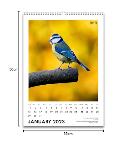 Image of Tallenge - Winged Beauties - 2026 Wall Calendar - 12 x 17 Inches for Home & Office (Paper, Wall Calendar)
