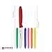 Giesser since 1776, Made in Germany, Serrated kitchen knives round tip dishwasher safe 4.5 inch - Tomato knife, Steak knive set of 6 (MIX Color)