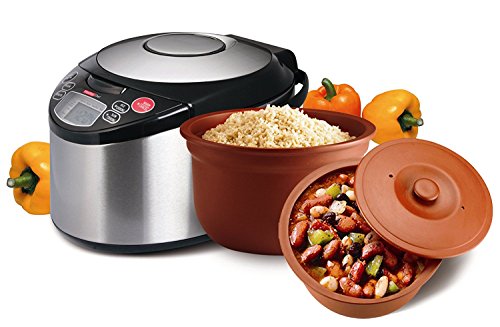 VitaClay Smart Organic Clay Pot Multi Cooker - Toxin Free Clay Rice Cooker, Delay Start Slow Cooker, Stew Cooker, Electric Soup Pot, Yogurt Maker, with Natural Earthen Clay Crock, 6 Cup / 3.2-Quart