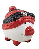 Bayer 04 Leverkusen Emblem Bayer 04 Leverkusen Sparschwein mit Mütze (one Size, rot/schwarz)