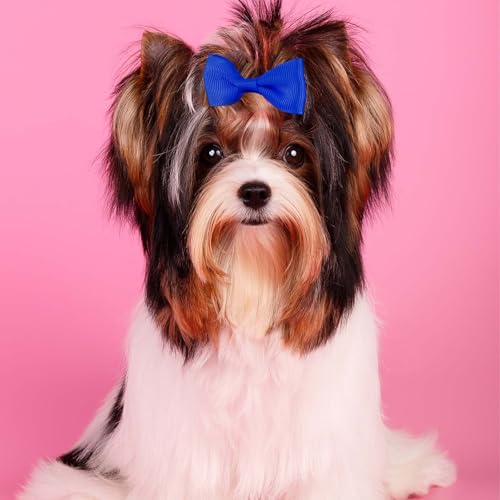 Bremorou 40 Stück Haarschleifen für Hunde Hunde Zopfgummis Hundehaarschleifen Haarband Yorkshire Schleife Gummibänder Haarschmuck Mit Gummibändern Haarschleifen für Kleine Katzen Welpen Haustiere