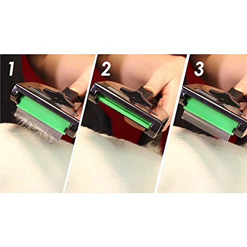 Vortex - Aspirador de trineo sin bolsa con filtro de 4 capas y cepillo de animales Zii negro