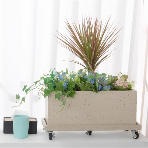 Soucoupe rectangulaire mobile en résine synthétique pour pot de fleurs