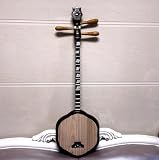 Qin Qin Hakka Volkslied Meihuaqin China Saiteninstrumente