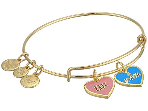 Alex and Ani Color Infusion Best Friends Duo Charm Bangle Bracelet Gold One Size, Shiny Gold (A20EBVDAY13SG)