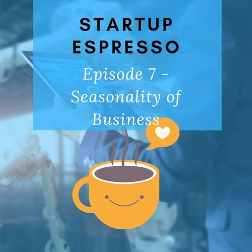 Couverture de Seasonality of Business - Episode 7