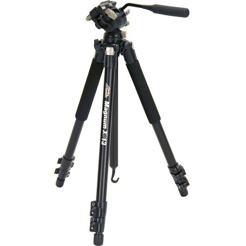 Davis & Sanford MAGNUMXG13 Magnum Grounder Tripod with FX13 Head for Cameras,Black