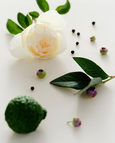 Maison Louis Marie - Natural Roll-On Perfume Oil Sample | Luxury Clean Beauty + Non-Toxic Fragrance (0.1 fl oz | 3 ml) - Image 3