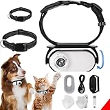 MeowNova 1080P Cat Camera Collar - Wireless Mini Sport Cam with Video Recording, Small Action Camera for Pet Supplies, Indoor/Outdoor Body Cam for Cats