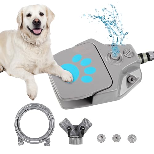 10 Best Outdoor Dog Water Fountain