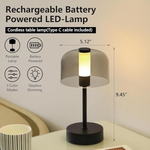 Image of NYRWANA Acrylic Cordless Table Lamp ABS | 1200 mAh Battery | Home Decor, Desk Lamps for Bedroom, Living Room, Study Room, Stepless Dimming, 3 Colour Touch Control, USB-C Charging (Black)