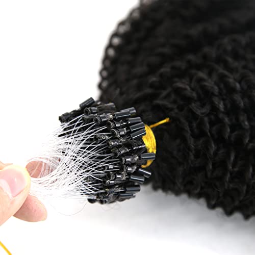 Zigzag Hair Afro Kinky Curly Micro Rings Loop Hair Extensions 1G/Strand 100G 4B 4C Micro Link Extensions Hair Brazilian Virgin Human Hair For Black Women (16Inch, 4B 4C) #TOP4