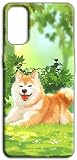 shiba inu cuccioli prezzo 📸 Protezione Totale per Schermo e Fotocamere La custodia avvolge perfettamente lo smartphone, proteggendo anche il modulo fotocamera. Il bordo anteriore è rialzato di circa 1 mm rispetto allo schermo, mentre il retro intorno alle lenti sporge di 1,2 mm. In questo modo, sia appoggiandolo a faccia in giù che a faccia in su, il telefono è sempre sollevato dalle superfici, prevenendo efficacemente graffi e danni.