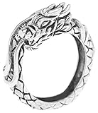 Ein Ring in der Form der Midgardschlange, die sich selbst in den Schwanz beißt und ihre ganz eigene Ewigkeit erschafft