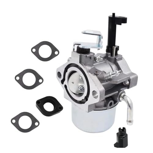 Carburateur 715782 haute performance pour réguler le moteur Briggs avec joints