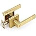 LOQRON Square Keyless Privacy Door Lever, Brushed Gold Door Handles, Heavy Duty Gold Door Lever with Privacy Lock Reversible Door Handle for Right/Left Handed Bedroom Bathroom Door