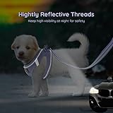 BELLA & PAL Hundegeschirr Kleine Hunde mit Leine, Step-in Geschirr aus Air Mesh, Anti Zug Reflektierend Atmungsaktiv Brustgeschirr, Welpengeschirr für Kleine Hunde, Katzengeschirr, Lavendel, XXS