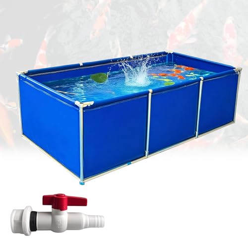 Poxvythb K͂ȋ̗{BÃj[Y𖞂߂ɁArLoX/`̊g݌v _ƗpĚ^v[ t[̒r ^ (TCYF3x3x0.7m/J[Fu[)