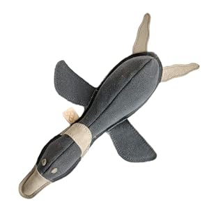 GUTS AND GLORY Dog/Puppy Chew Toy, Non Toxic Interactive Chewing Toy, Ideal for All Breed and Sizes (Canvas, Grey)