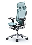 Contessa II(�R���e�b�T �Z�R���_) CC85BS-FPG6 [�Z�[�W]