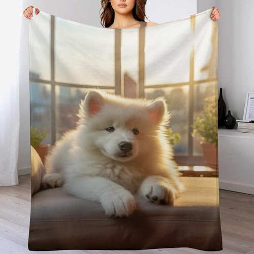 Couverture chien en flanelle douce lit canapé 140x180cm - 2