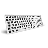 Connexion : câble Sharkoon Clavier de jeu SKILLER SGK50 S2 Barebone