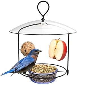 Nature’s Way BBFM1 Bluebird Buffet Metal Bird Feeder with Protective Baffle, Outdoor Wild Bird Feeder and Décor, One Glass Dish with 3/4 Cup capacity, Blue